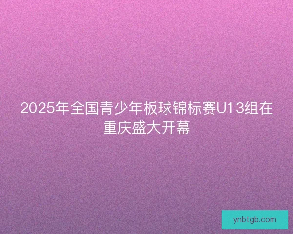 2025年全国青少年板球锦标赛U13组在重庆盛大开幕 2025年全国青少年板球锦标赛U13组在重庆盛大开幕