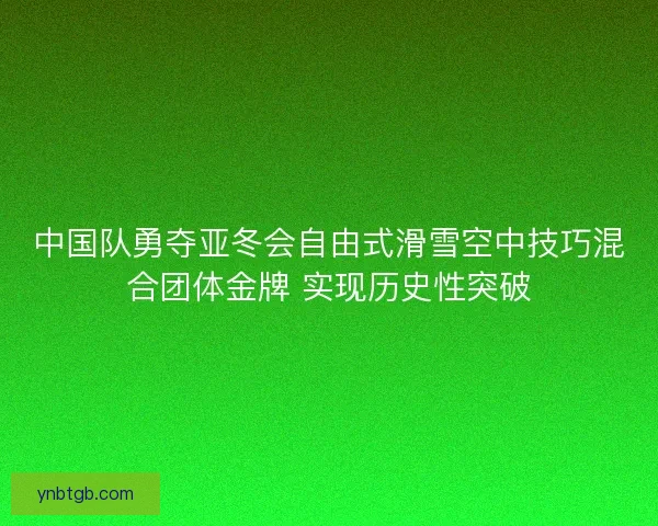 中国队勇夺亚冬会自由式滑雪空中技巧混合团体金牌 实现历史性突破