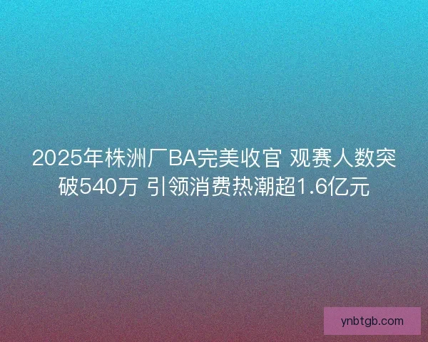 2025年株洲厂BA完美收官 观赛人数突破540万 引领消费热潮超1.6亿元
