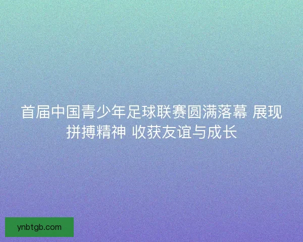 首届中国青少年足球联赛圆满落幕 展现拼搏精神 收获友谊与成长 首届中国青少年足球联赛圆满落幕 展现拼搏精神 收获友谊与成长